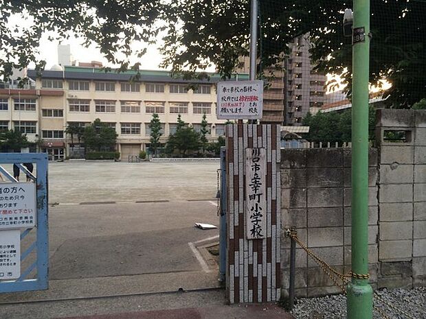 川口市立幸町小学校(850m)