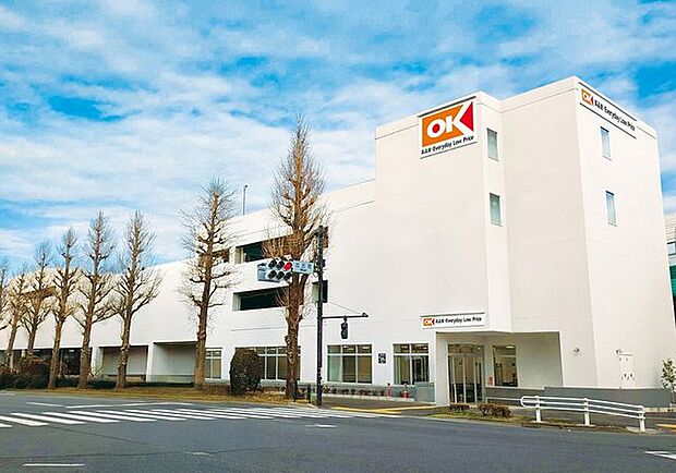 オーケー大泉インター店(537m)