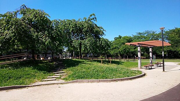 花畑公園(500m)
