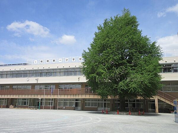 板橋区立板橋第一小学校（563m）