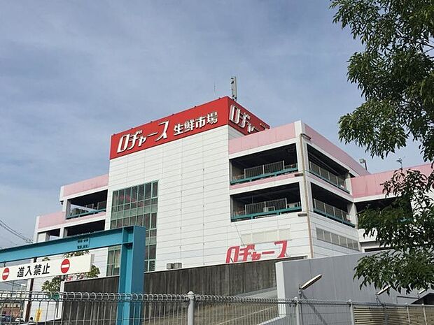 ロヂャース越谷店(600m)