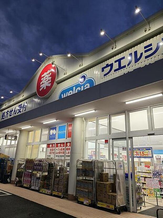 ウエルシア練馬谷原店(600m)