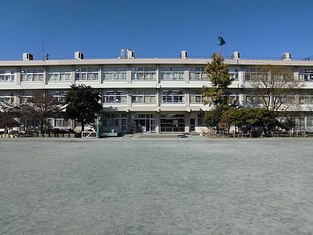 板橋区立三園小学校(600m)