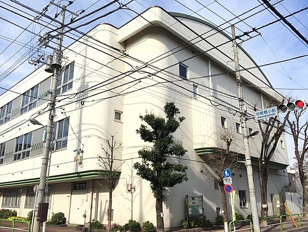 板橋区立中根橋小学校(550m)