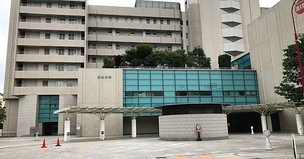 地方独立行政法人東京都立病院機構東京都立豊島病院(300m)