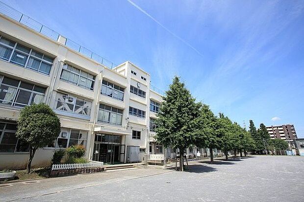 練馬区立立野小学校(230m)