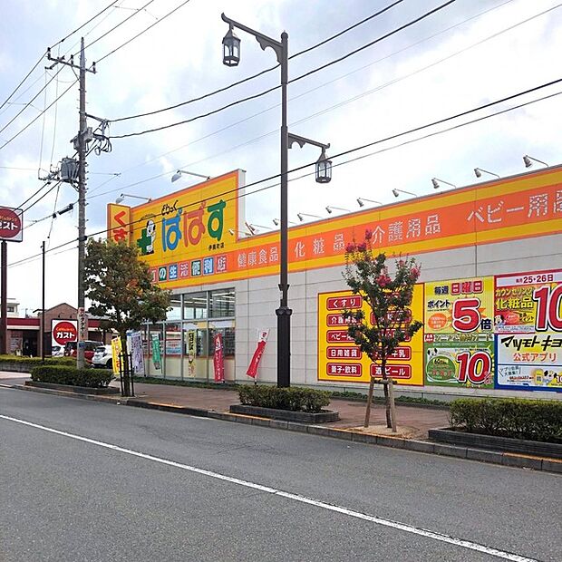どらっぐぱぱす伊興町店（600m）
