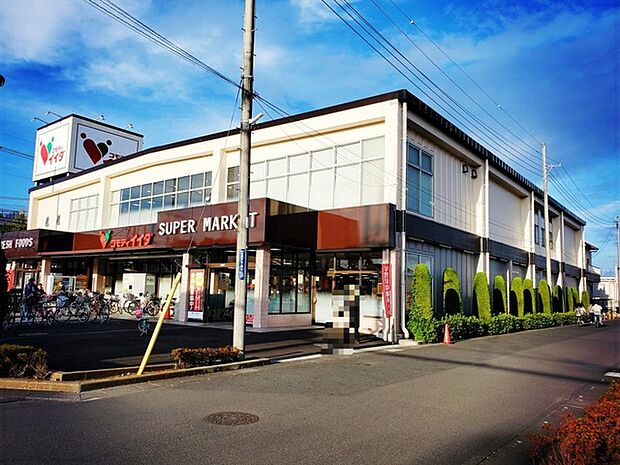 コモディイイダ越谷店(900m)