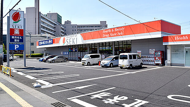 ドラッグストアセキ東越谷店(550m)