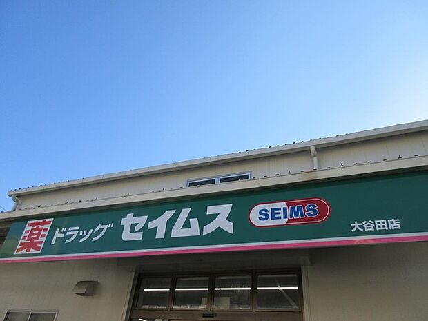 ドラッグセイムス大谷田店(250m)