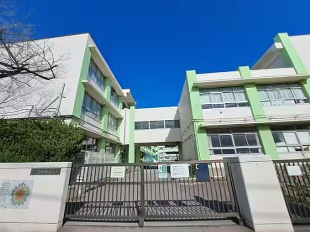葛飾区立上千葉小学校(800m)
