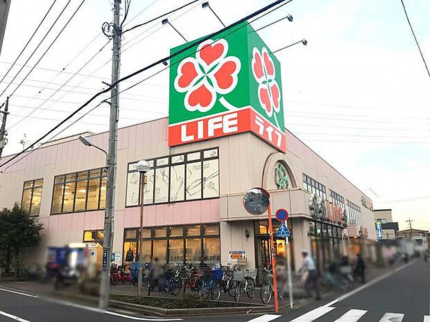 ライフ葛飾鎌倉店(800m)