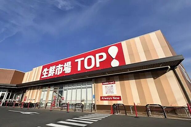 マミーマート生鮮市場TOP八潮伊草店(295m)