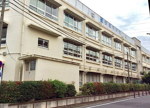 葛飾区立桜道中学校(1100m)