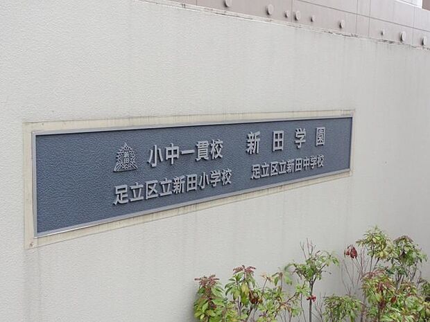 足立区立新田小学校(578m)