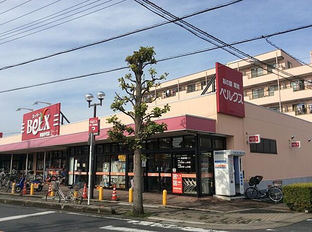 ベルクス草加手代店（260m）