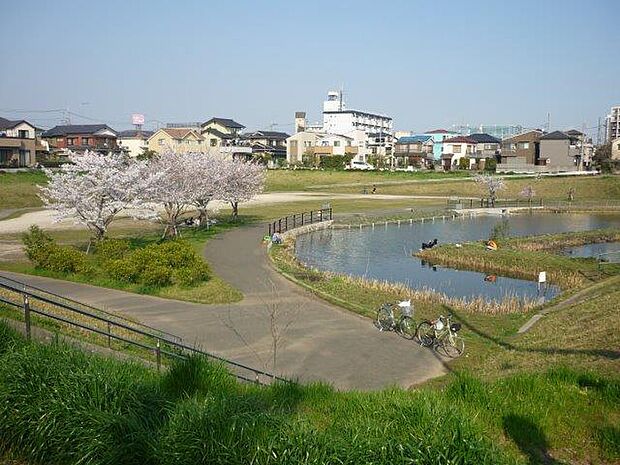 谷塚治水緑地（865m）