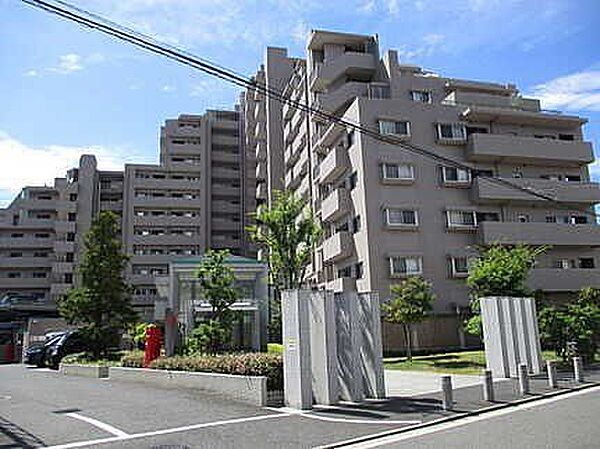 外観：334000261116