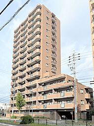 マルベリー瑞穂