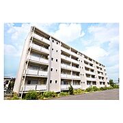 厚木駅より徒歩61分 築55年3ヶ月 5階建の賃貸物件