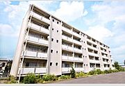 入谷駅より徒歩74分 2階 築55年6ヶ月の賃貸物件