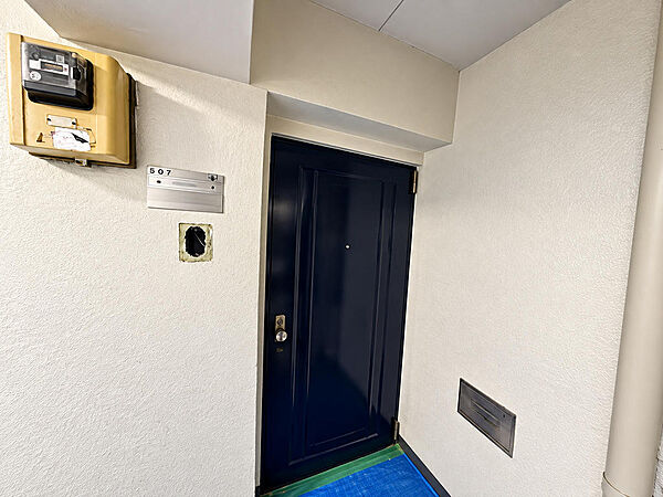 室内側から見た玄関。落ち着いた色合いで、すっきりまとまっています。