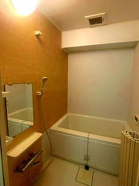 木目調のアクセントパネルが温かみを演出する落ち着いた雰囲気のある浴室です。清潔感のある浴槽と使いやすい鏡・カウンターを完備。一日の疲れをゆったりと癒してくれる居心地いいバスタイムを楽しめます。