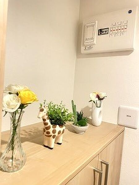 玄関のシューズボックス上部は、お気に入りのインテリアやグリーン、鍵などを置くのに便利なカウンター仕様。住まいの顔である玄関を自分好みに素敵に演出できるお洒落なスペースです。