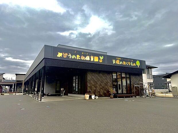 ぶどうのたね保育園 1180m