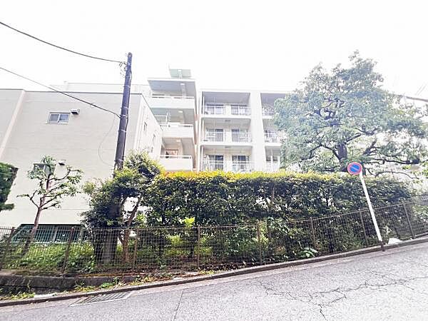 ぜひ現地をご覧くださいませ。