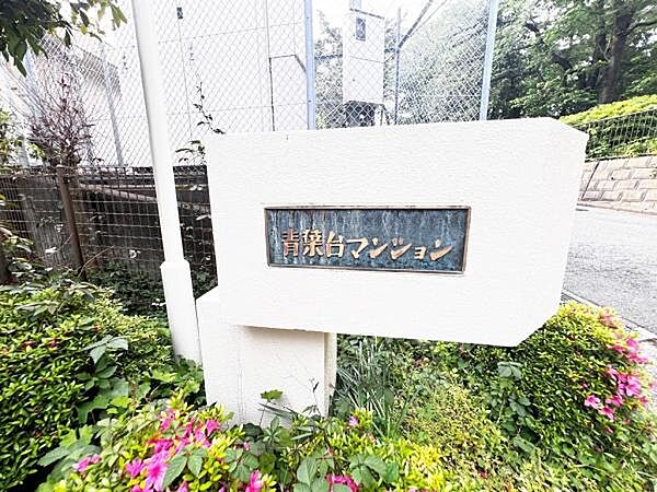 ぜひ現地をご覧くださいませ。