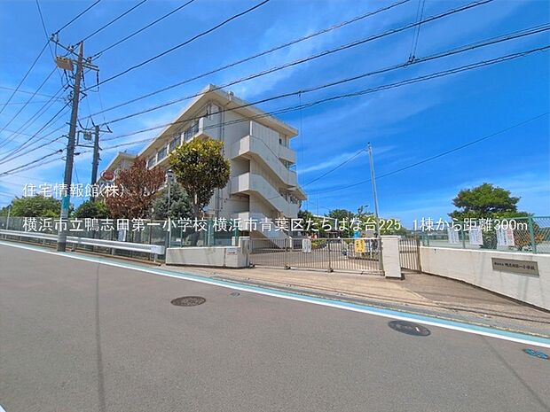 横浜市立鴨志田第一小学校まで約300m(徒歩4分)