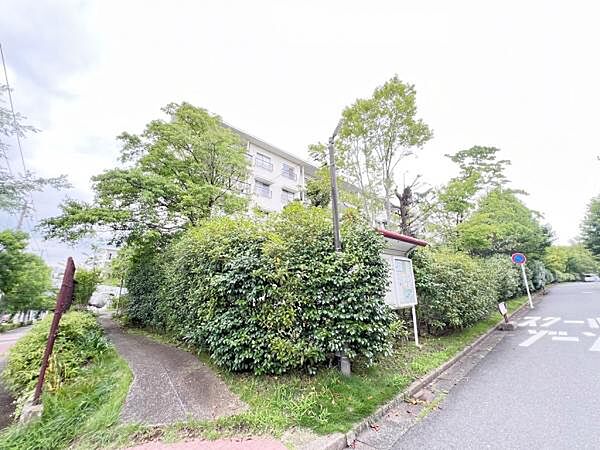 外観：314002808023