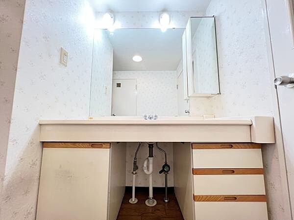 洗面化粧台です。朝の身支度から1日が始まります。