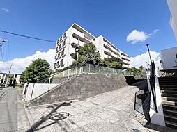江田ロビニア
