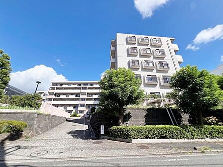 ぜひ現地をご覧くださいませ。