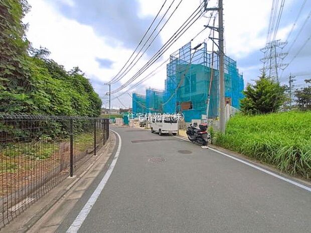 現地写真です。