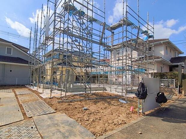 現地写真です。