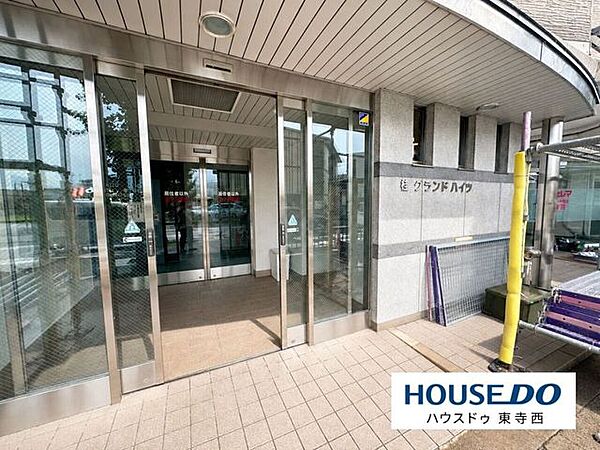 ガラス扉から光が入る明るいエントランス。建物への出入りや共用部の雰囲気を確認できます。
