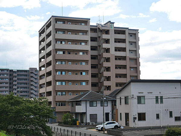 外観：334000271695
