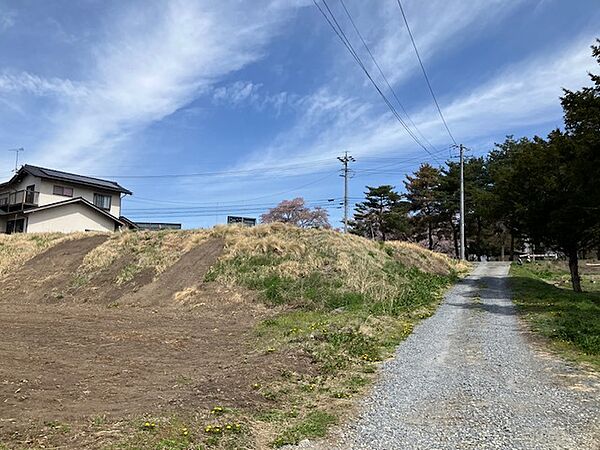 東側接道と敷地の様子