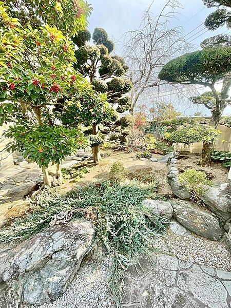 癒しの空間