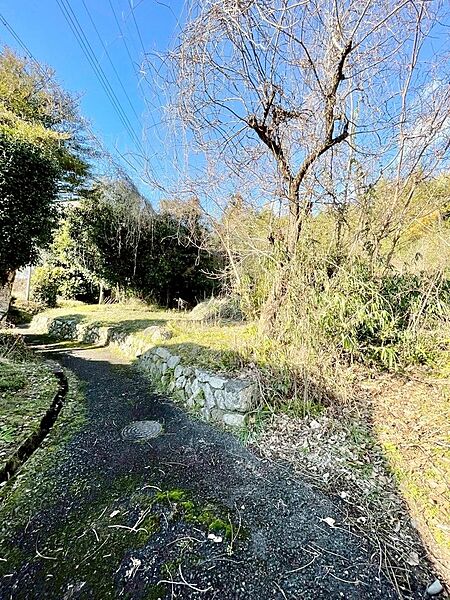 緑あふれる閑静な住宅地