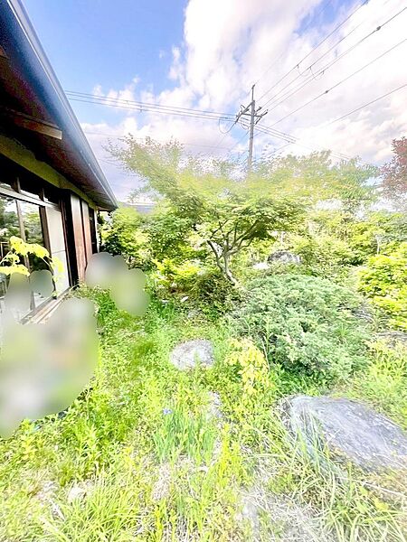 広々とした庭付