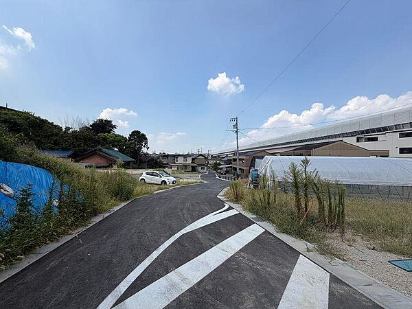 2026年9月撮影