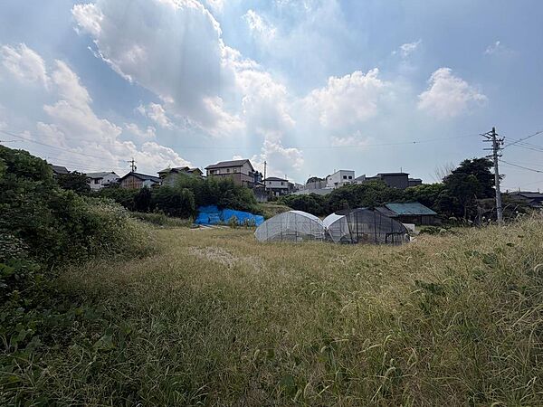 2026年9月撮影