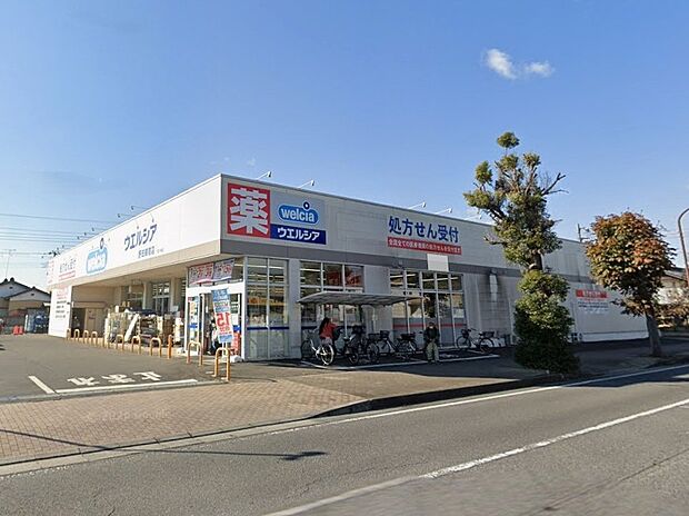 ドラッグストア 2574m ウエルシア野田関宿店