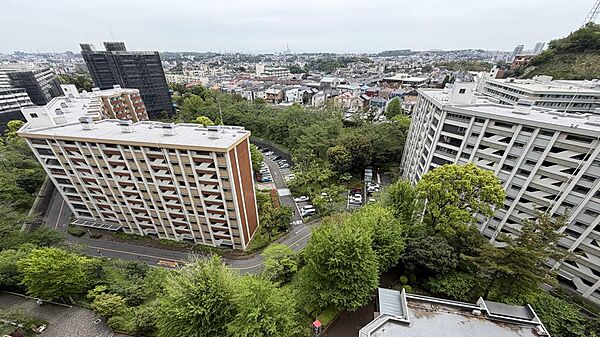 敷地内の建物や周辺環境まで一望でき、住戸からの距離感が分かる一枚です！