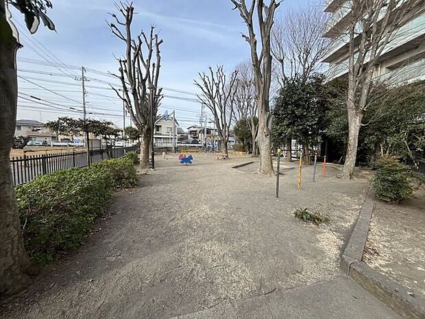 文京青空公園 230m