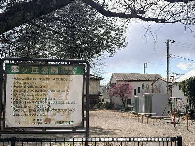 翠ヶ丘公園 270m